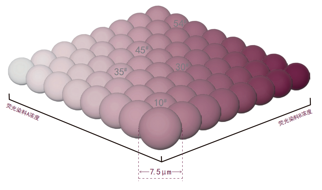 磁性双荧光微球(图1)