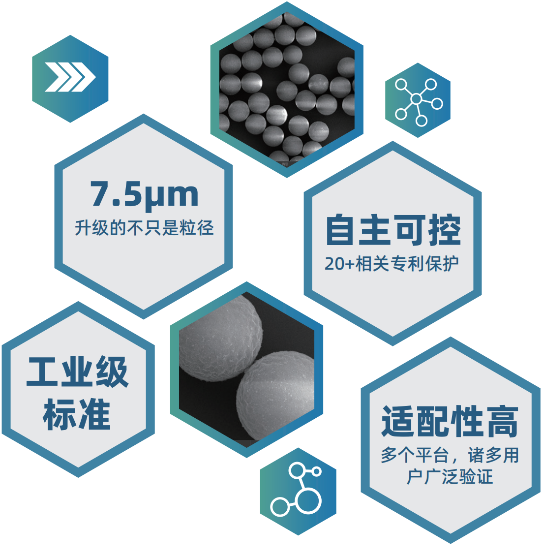 磁性双荧光微球(图2)