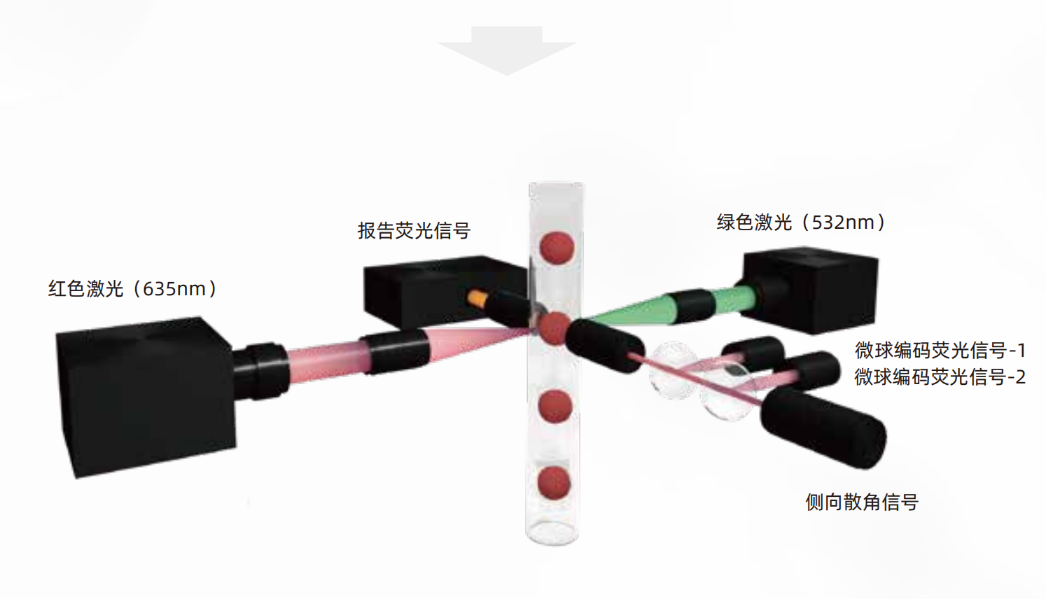 流式点阵仪(图3)