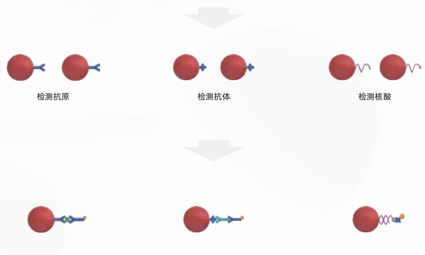 流式点阵仪(图2)